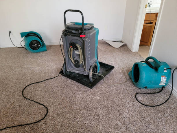 Best Water damage restoration process  in Thonotosassa, FL