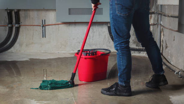 Best Sewage cleanup and water damage restoration  in Thonotosassa, FL