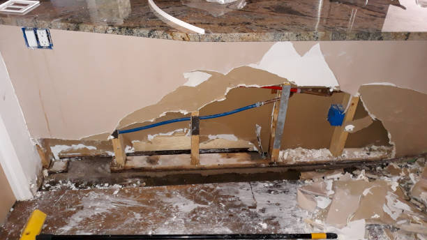 Best Flooded house restoration  in Thonotosassa, FL