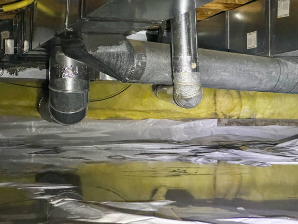 Best Mold removal after water damage  in Thonotosassa, FL