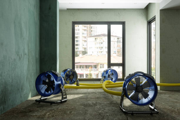 Best Emergency water damage restoration  in Thonotosassa, FL
